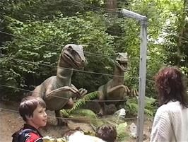 Lee enjoys the Velociraptors at the Combe Martin Wildlife & Dinosaur Park